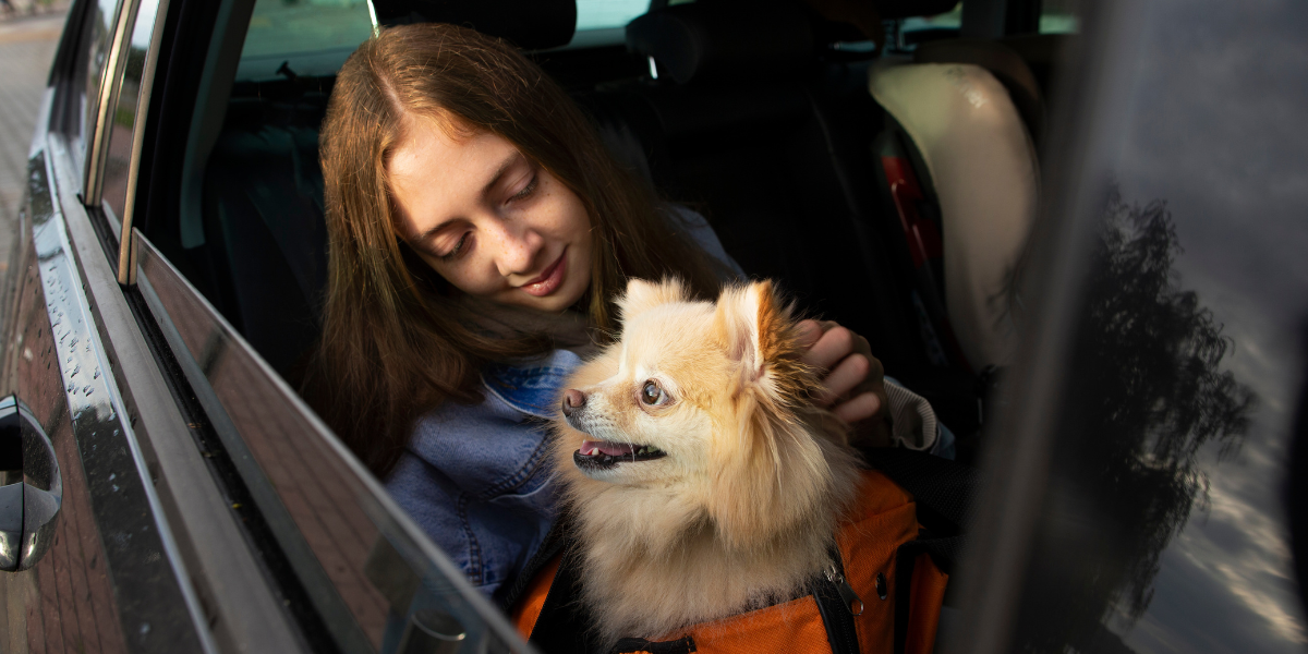 Pet-Friendly Taxi Rides